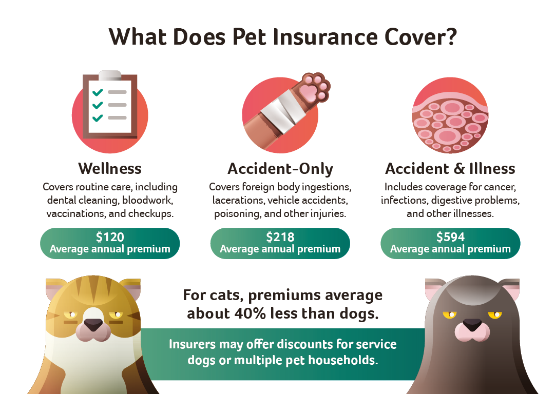 What To Consider When Buying Pet Insurance?