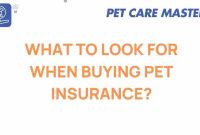 What To Consider When Buying Pet Insurance?