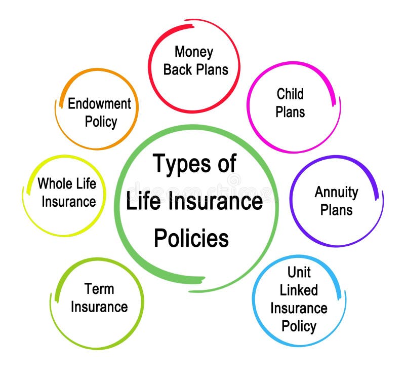 What Are The Different Types Of Insurance Policies Available