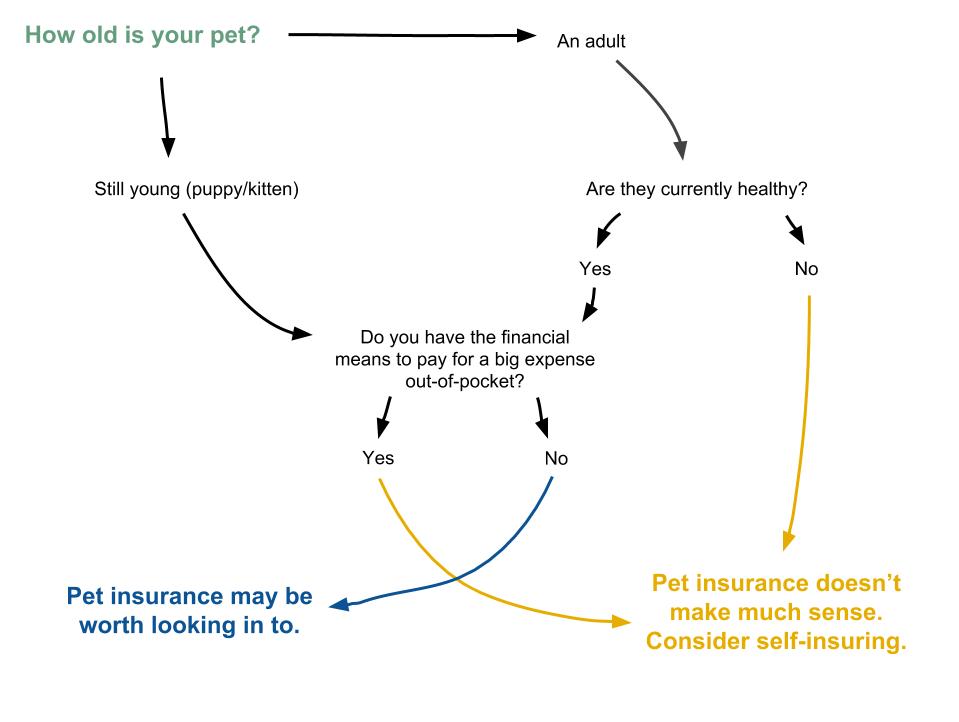 What Should I Consider Before Purchasing Pet Insurance