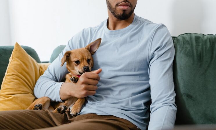 What Should I Consider Before Purchasing Pet Insurance